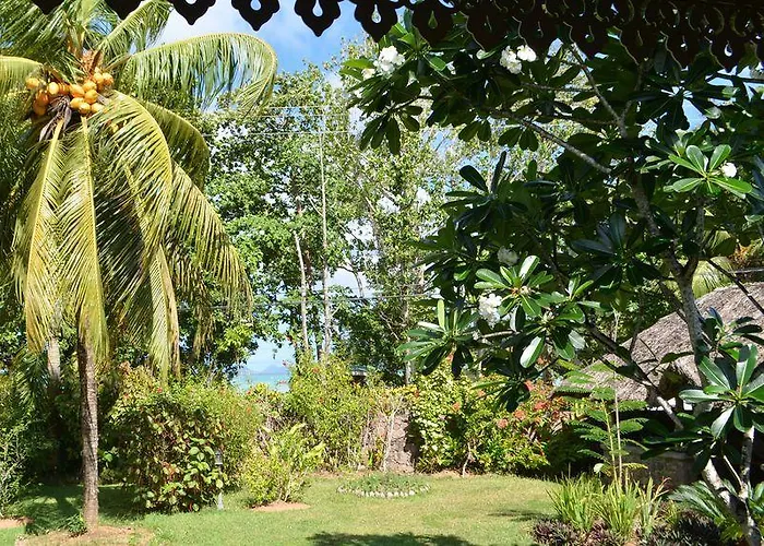 Bambou Guest house 3*